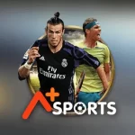 JJWIN sports betting dashboard with live match odds